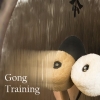 Gong Training Course