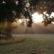 Yoga in Welwyn