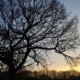 Welwyn Yoga