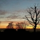 Welwyn Yoga