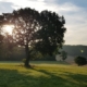 Welwyn Yoga Classes