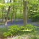 Babacool Yoga Welwyn