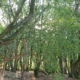 Babacool Yoga Welwyn