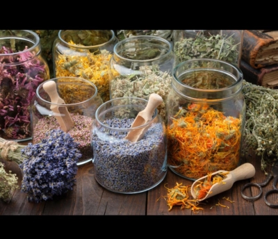 Autumn Harvest Retreat