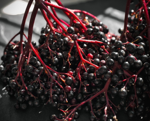 Elderberry Oxymel