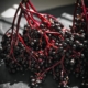 Elderberry Oxymel
