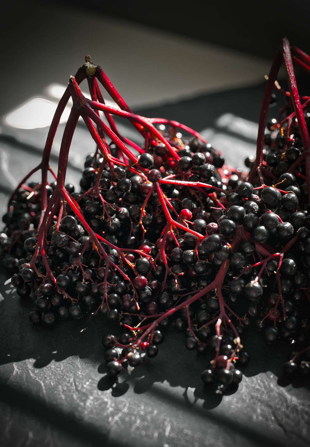 Elderberry Oxymel